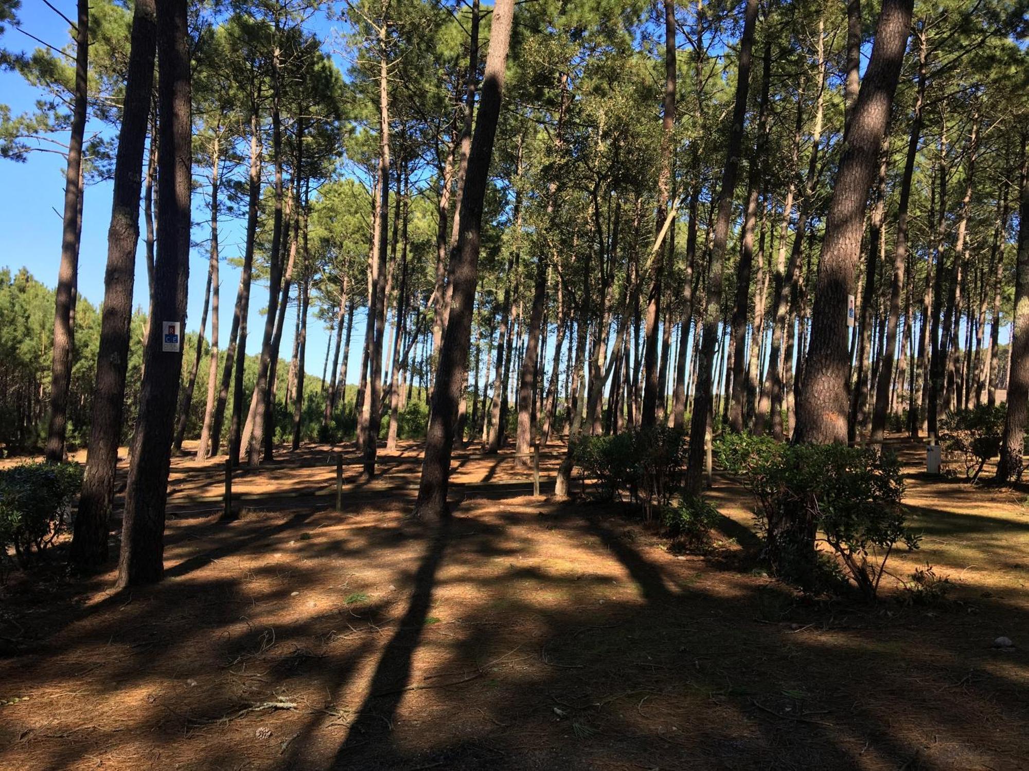 Вилла La Bergerie Des Landes Ли-э-Микс Экстерьер фото