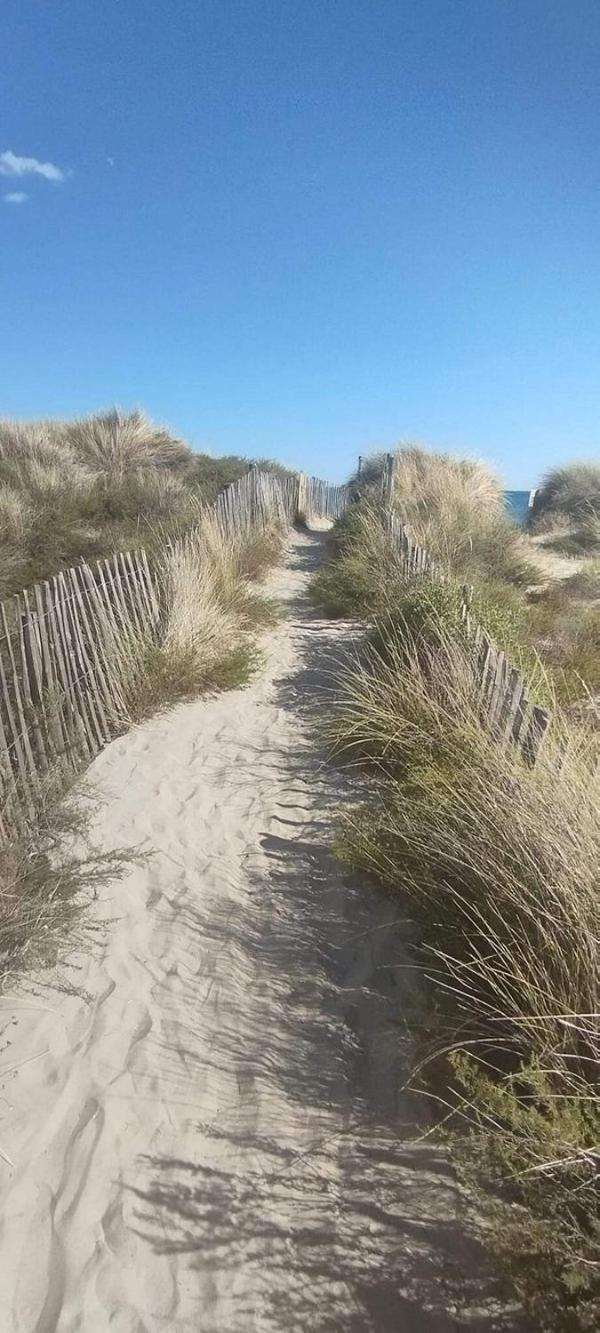 Вилла La Bergerie Des Landes Ли-э-Микс Экстерьер фото